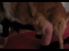 Teenage hottie can't survive without having sex with her father's pet.